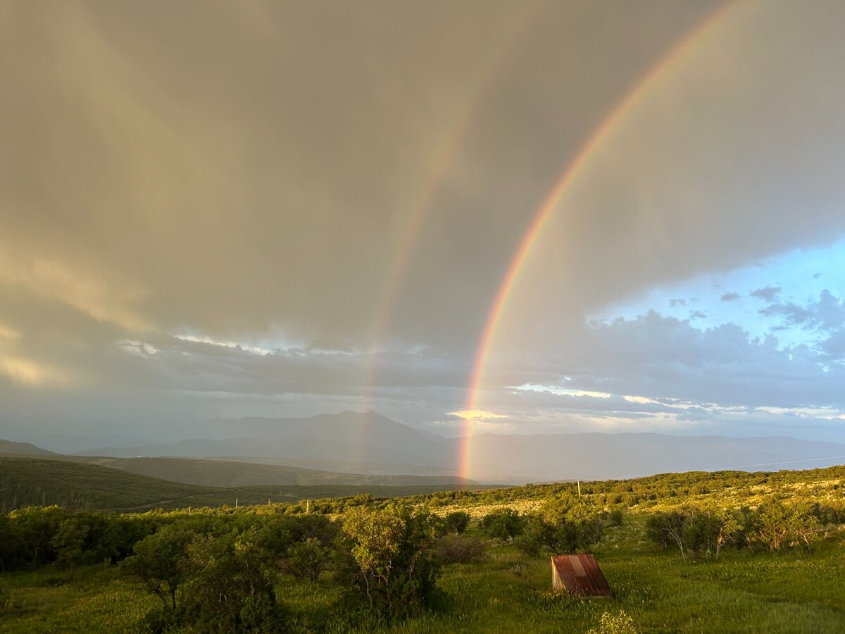 Summer Rainbow
