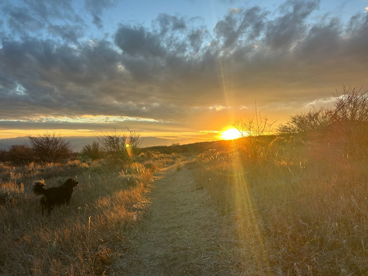 Sunset on the Trail